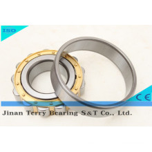 The High Speed Cylindrical Roller Bearing (NJ2217EM)